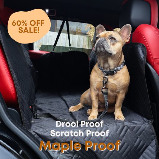 The Guardian - Dog Seat Cover